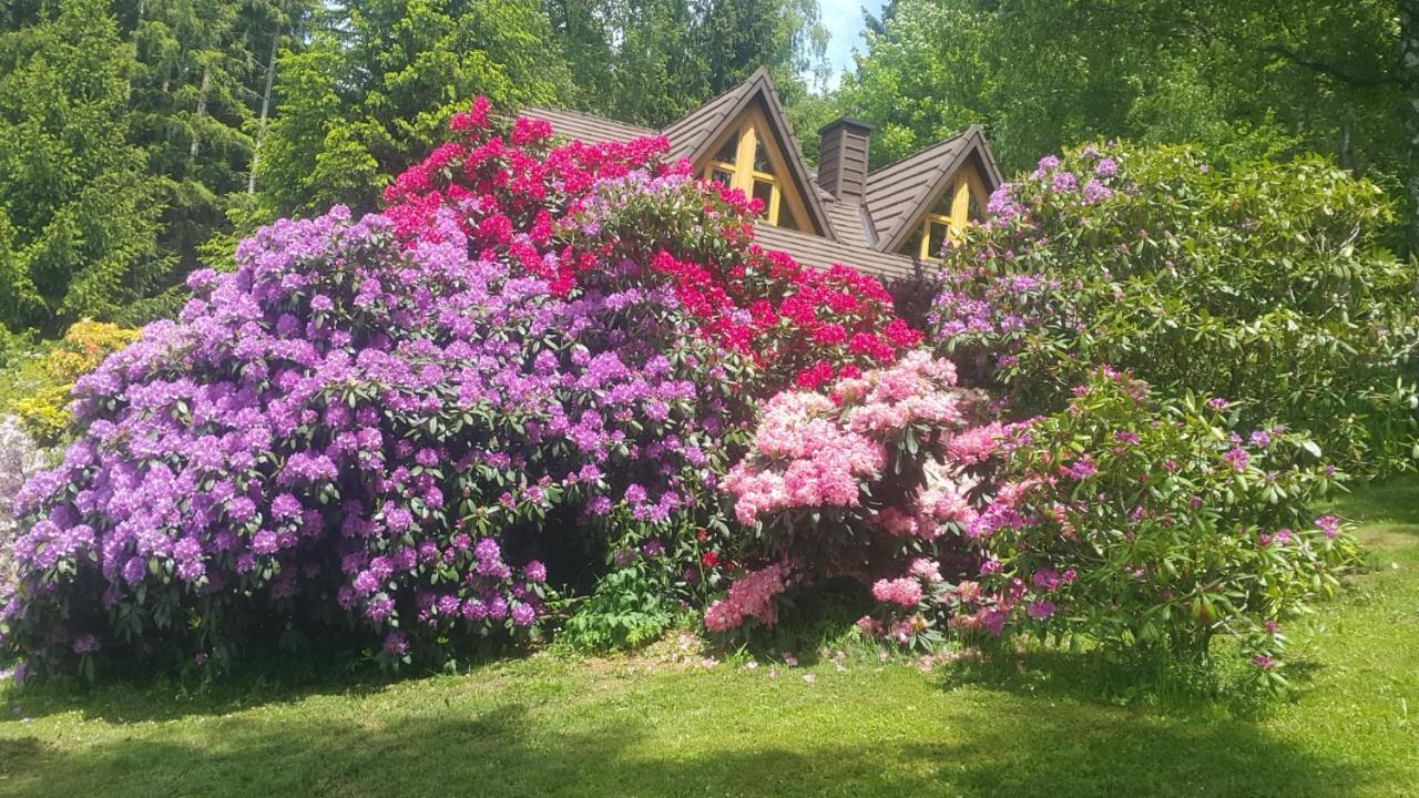 Chalet Bellevue Rogla Zreče Dış mekan fotoğraf