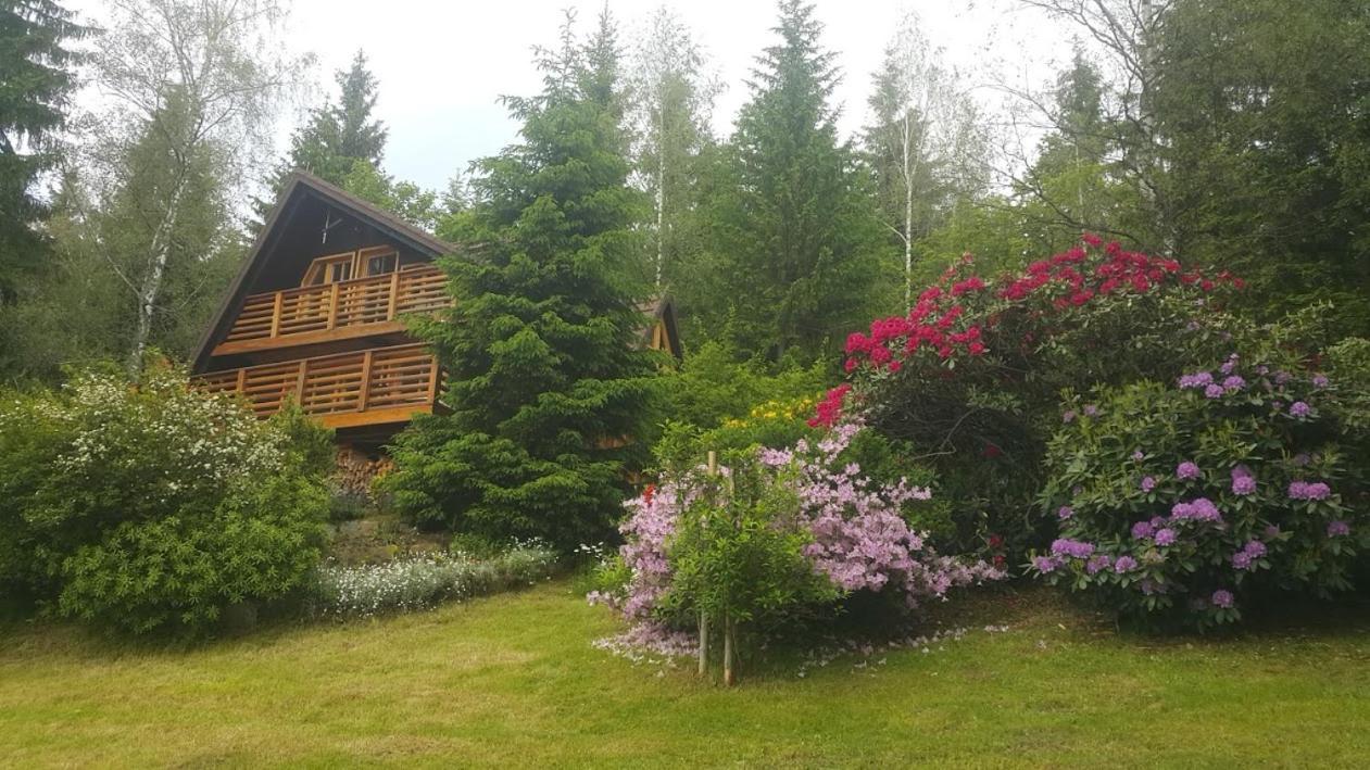 Chalet Bellevue Rogla Zreče Dış mekan fotoğraf